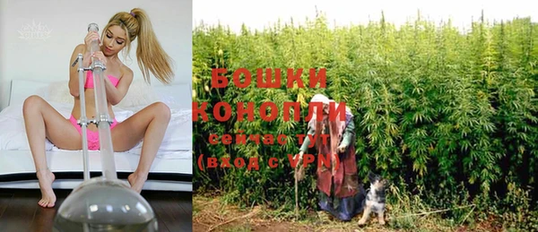 амф Володарск