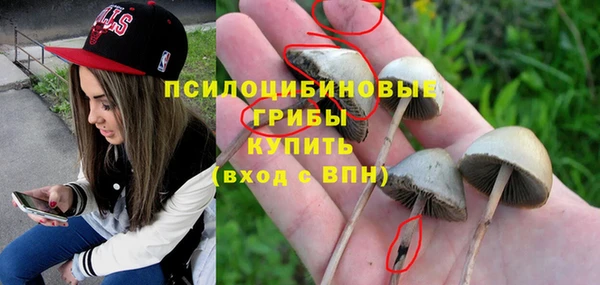 круглые Верея
