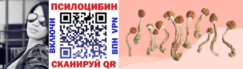 Купить где  Первомайск  Псилоцибиновые грибы Cubensis 
